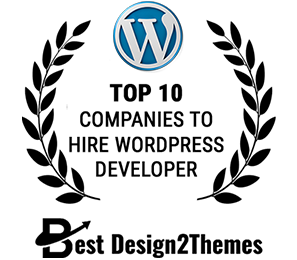 Top Company to Hire Wordpress Developer