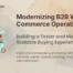 B2B Wholesale eCommerce Digital Transformation for Magento